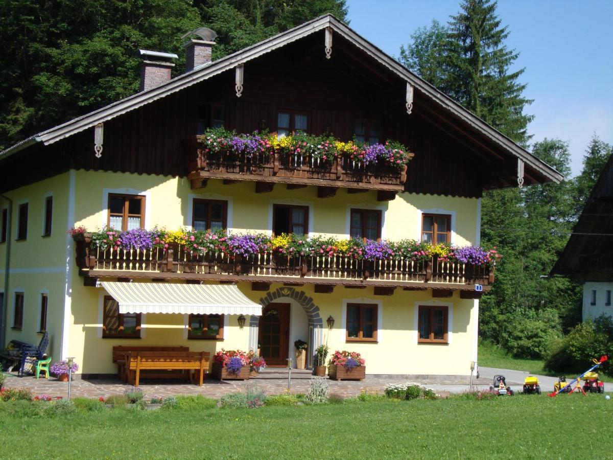 Appartement Pferdehof Almgut à Faistenau Extérieur photo