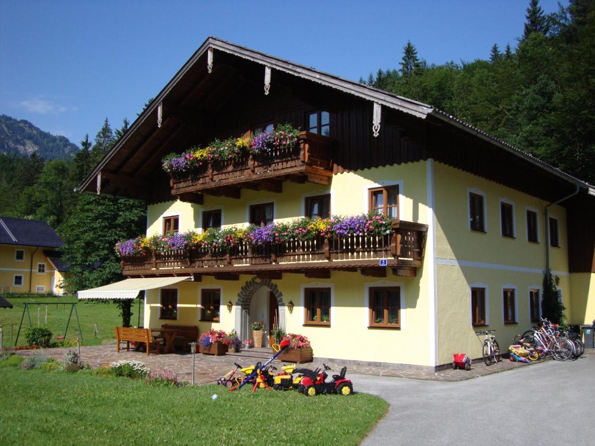 Appartement Pferdehof Almgut à Faistenau Extérieur photo